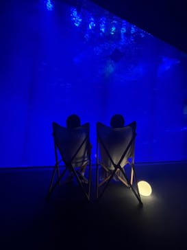 アクアワールド茨城県大洗水族館に投稿された画像（2024/8/6）