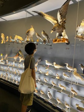 滋賀県立琵琶湖博物館に投稿された画像（2024/8/6）