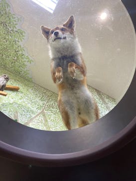 滋賀県立琵琶湖博物館に投稿された画像（2024/8/6）