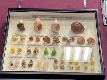 滋賀県立琵琶湖博物館に投稿された画像（2024/8/6）