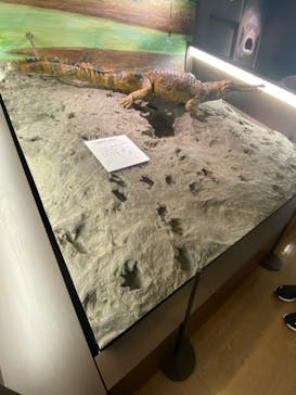 滋賀県立琵琶湖博物館に投稿された画像（2024/8/6）