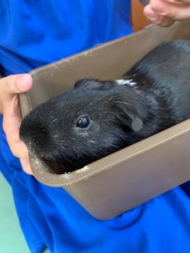 東武動物公園に投稿された画像（2024/8/6）