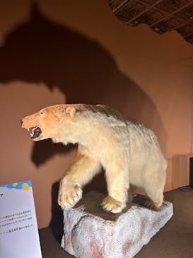 巨大恐竜展2024に投稿された画像（2024/8/6）