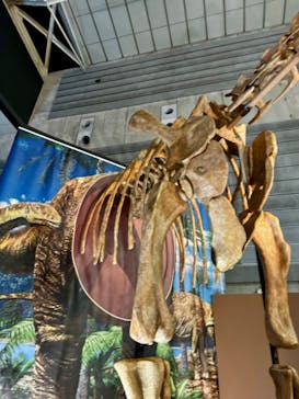 巨大恐竜展2024に投稿された画像（2024/8/6）