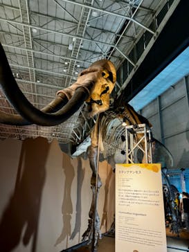 巨大恐竜展2024に投稿された画像（2024/8/6）