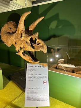 巨大恐竜展2024に投稿された画像（2024/8/6）