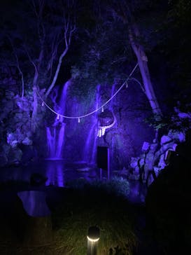 箱根湯本温泉 天成園に投稿された画像（2024/8/6）