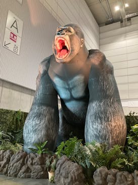 絶体絶命！？キミたちのサバイバル in ときメッセに投稿された画像（2024/8/6）