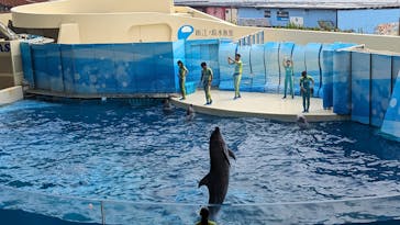 新江ノ島水族館に投稿された画像（2024/8/6）