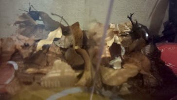 富士すばるランドに投稿された画像（2024/8/6）