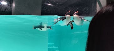 AOAO SAPPOROに投稿された画像（2024/8/6）