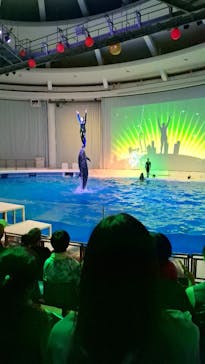 アクアワールド茨城県大洗水族館に投稿された画像（2024/8/6）