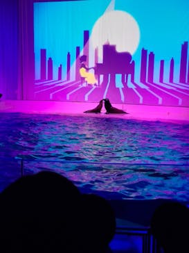 アクアワールド茨城県大洗水族館に投稿された画像（2024/8/6）