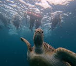  マリンショップHAPPYに投稿された画像（2024/8/6）