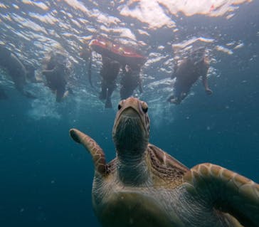  マリンショップHAPPYに投稿された画像（2024/8/6）