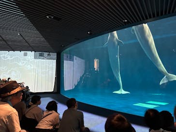 島根県立 しまね海洋館に投稿された画像（2024/8/6）