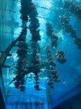 仙台うみの杜水族館に投稿された画像（2024/8/6）