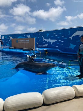 仙台うみの杜水族館に投稿された画像（2024/8/6）