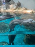 大分マリーンパレス水族館 「うみたまご」に投稿された画像（2024/8/6）