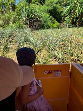 ナゴパイナップルパークに投稿された画像（2024/8/6）