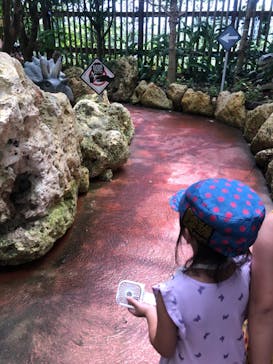 ナゴパイナップルパークに投稿された画像（2024/8/6）