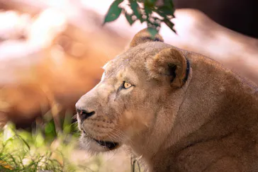 天王寺動物園に投稿された画像（2024/8/6）