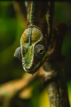 天王寺動物園に投稿された画像（2024/8/6）