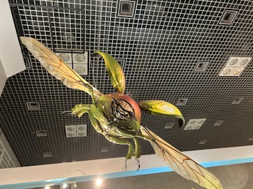 特別展「昆虫 MANIAC」（国立科学博物館）に投稿された画像（2024/7/29）