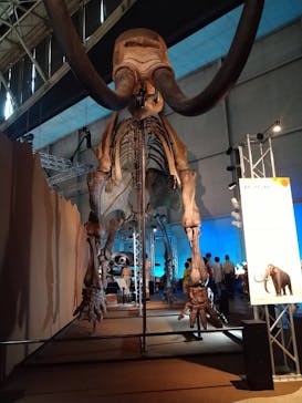 巨大恐竜展2024に投稿された画像（2024/8/6）