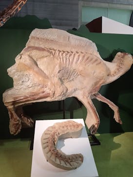 巨大恐竜展2024に投稿された画像（2024/8/6）