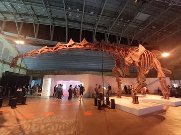 巨大恐竜展2024に投稿された画像（2024/8/6）
