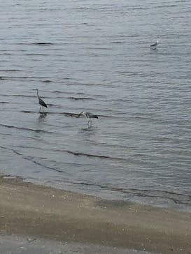 竹島水族館に投稿された画像（2024/8/6）