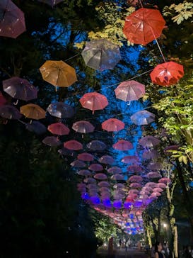 ムーミンバレーパークに投稿された画像（2024/8/6）