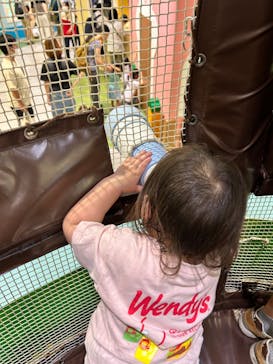 横浜アンパンマンこどもミュージアムに投稿された画像（2024/8/6）