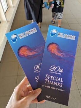 新江ノ島水族館に投稿された画像（2024/8/6）