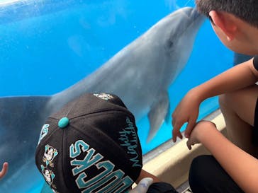 新江ノ島水族館に投稿された画像（2024/8/6）