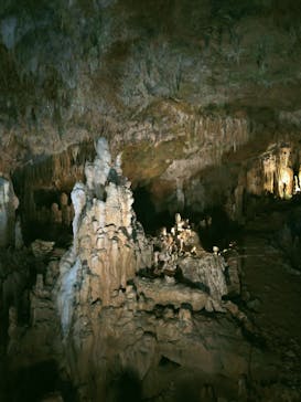 石垣島鍾乳洞に投稿された画像（2024/8/6）