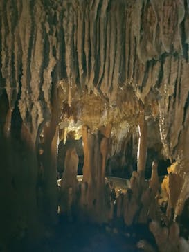 石垣島鍾乳洞に投稿された画像（2024/8/6）