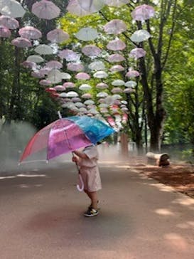 ムーミンバレーパークに投稿された画像（2024/8/6）