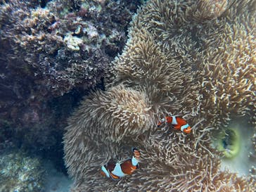 marine assist DEMI（マリンアシストデミ）に投稿された画像（2024/8/6）