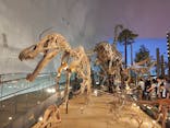 福井県立恐竜博物館に投稿された画像（2024/8/7）
