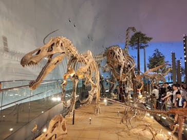福井県立恐竜博物館に投稿された画像（2024/8/6）