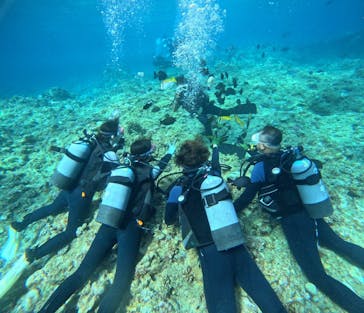 武藤潜水に投稿された画像（2024/8/7）