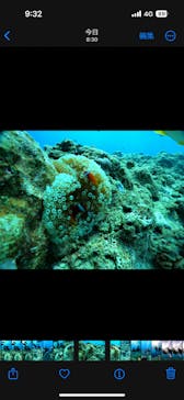 武藤潜水に投稿された画像（2024/8/7）