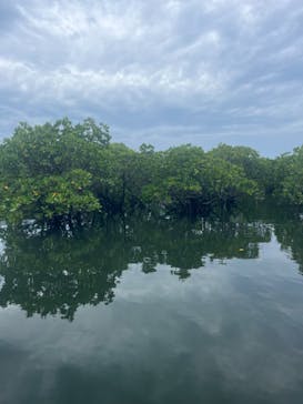 西表島 ADVENTURE PiPi（アドベンチャーピピ）に投稿された画像（2024/8/7）