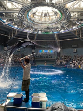 マクセル アクアパーク品川に投稿された画像（2024/8/7）