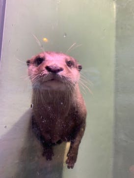 マクセル アクアパーク品川に投稿された画像（2024/8/7）