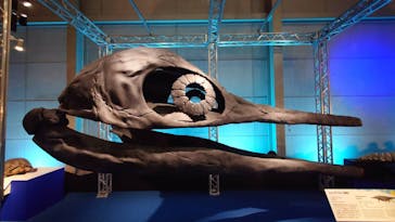 巨大恐竜展2024に投稿された画像（2024/8/7）