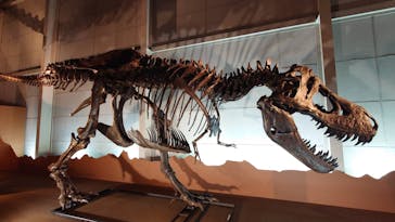 巨大恐竜展2024に投稿された画像（2024/8/7）