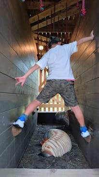 モビリティリゾートもてぎに投稿された画像（2024/8/7）